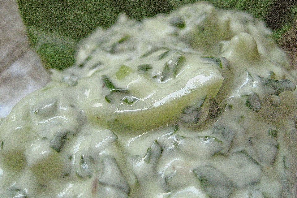 Bärlauch - Tzatziki