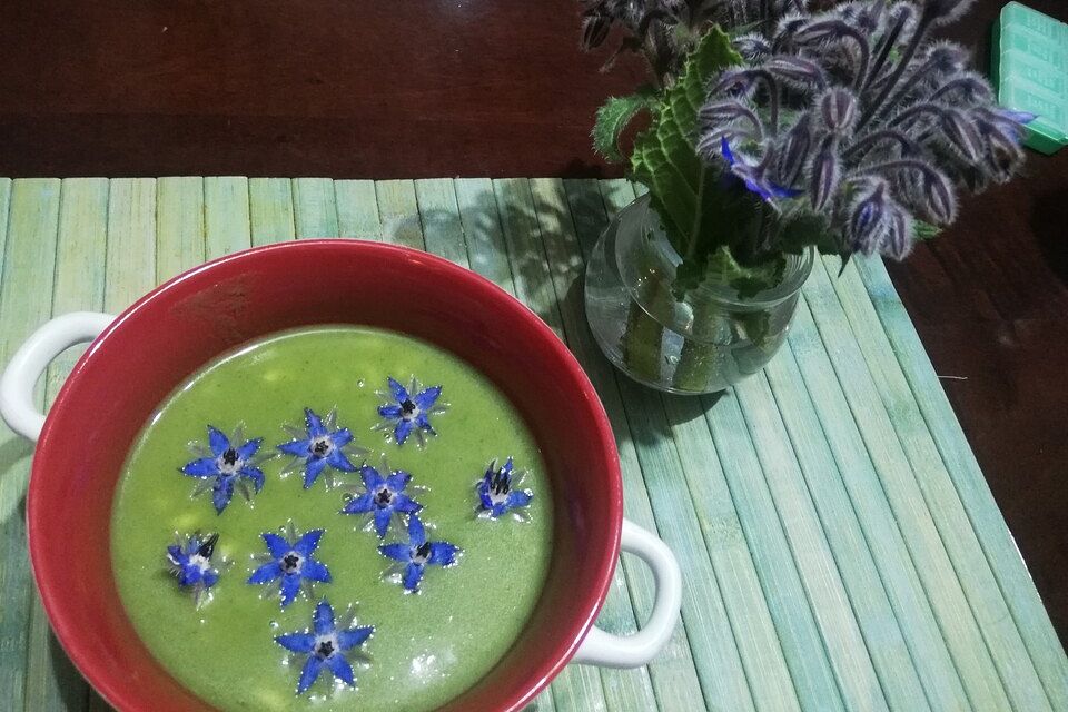 Kartoffelsuppe mit Borretsch und Borretschblüten Kartoffelsuppe mit Borretsch und Borretschblüten