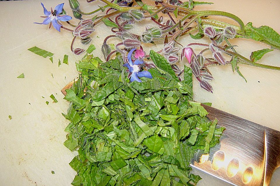 Kartoffelsuppe mit Borretsch und Borretschblüten Kartoffelsuppe mit Borretsch und Borretschblüten