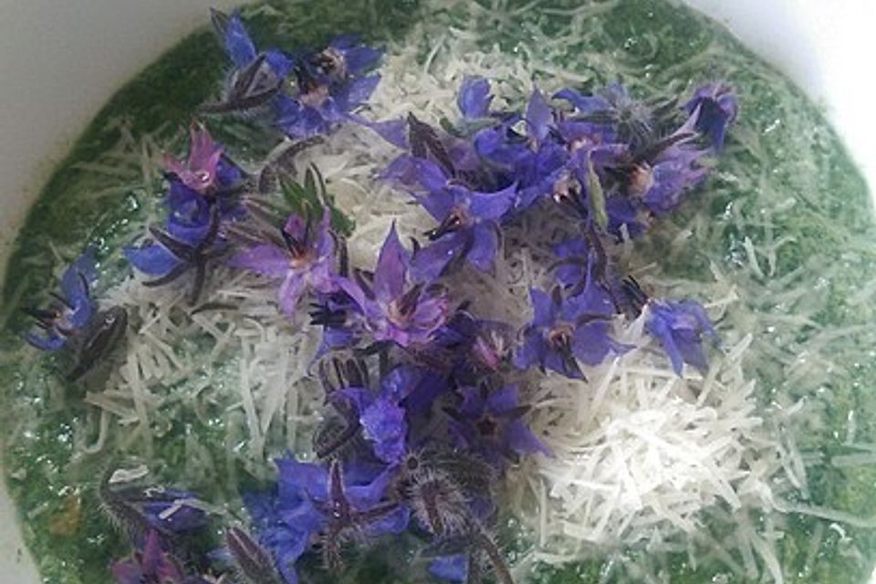 Kartoffelsuppe mit Borretsch und Borretschblüten Kartoffelsuppe mit Borretsch und Borretschblüten