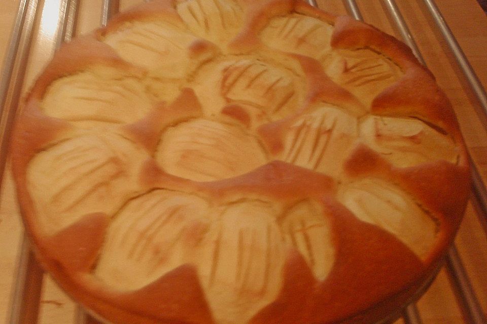 Apfelkuchen