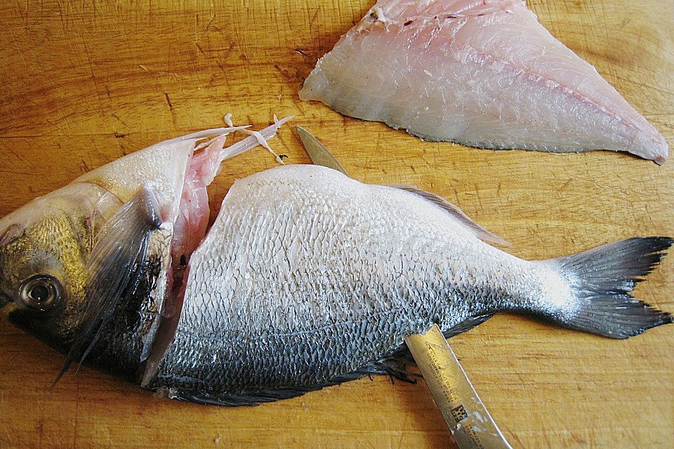 Doradenfilet auf gebratener Apfelscheibe mit Ingwerlinsen und Zitronengras Doradenfilet auf gebratener Apfelscheibe mit Ingwerlinsen und Zitronengras