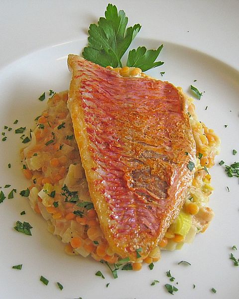 Rotbarbenfilet Rezepte | Chefkoch