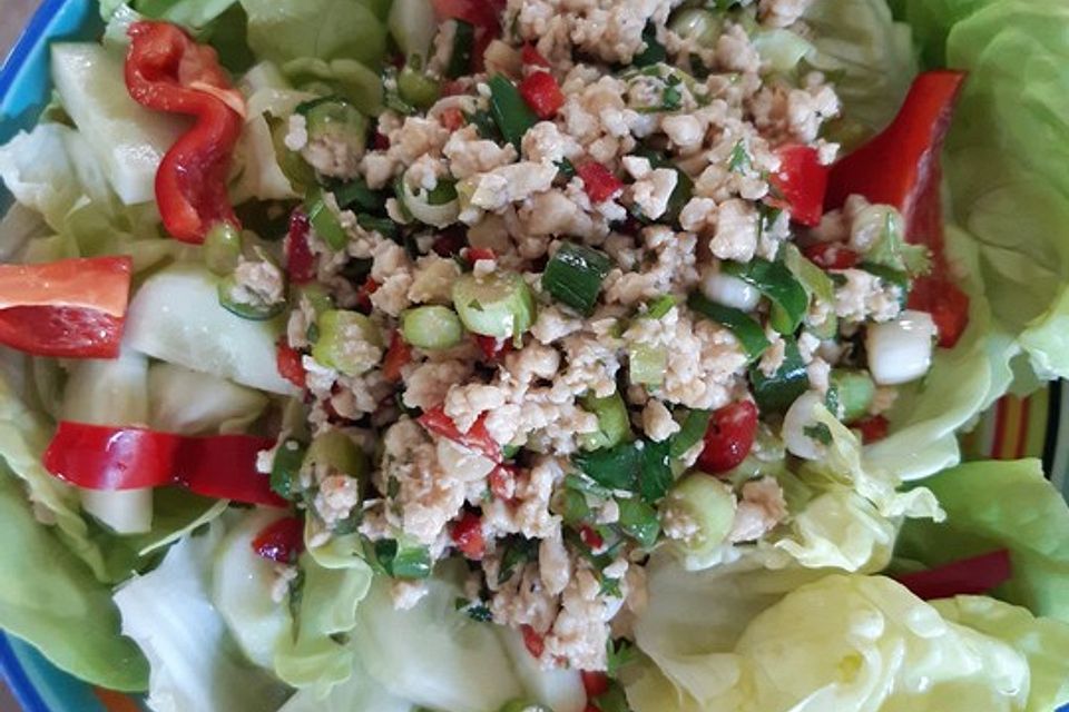 Laab Gai - Thailändischer Hähnchensalat