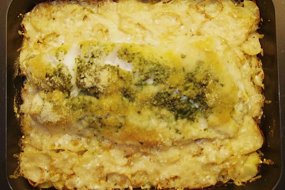 Rotbarschfilet auf Kartoffel - Lauch - Gratin