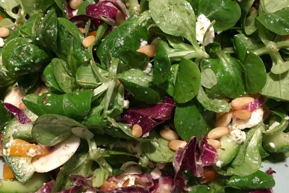 Gemischter Feldsalat mit Himbeeressig - Dressing Gemischter Feldsalat mit Himbeeressig - Dressing