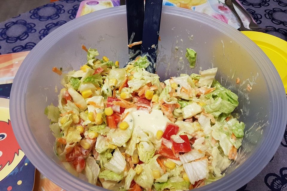 Gemischter Feldsalat mit Himbeeressig - Dressing Gemischter Feldsalat mit Himbeeressig - Dressing