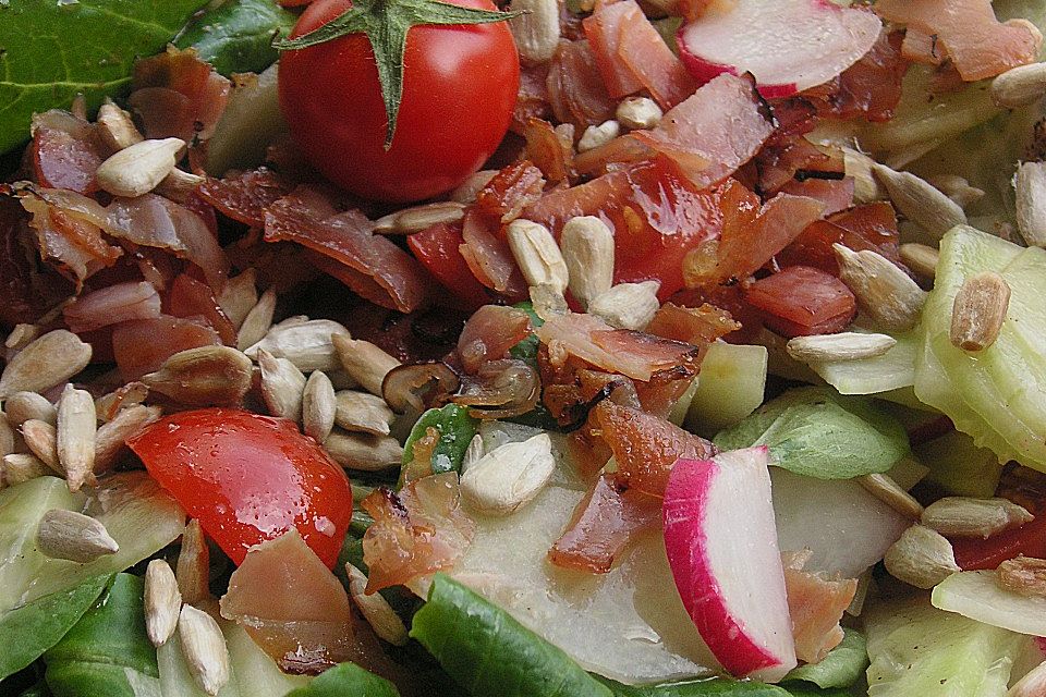 Gemischter Feldsalat mit Himbeeressig - Dressing Gemischter Feldsalat mit Himbeeressig - Dressing