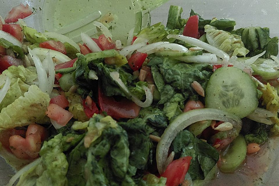 Gemischter Feldsalat mit Himbeeressig - Dressing Gemischter Feldsalat mit Himbeeressig - Dressing