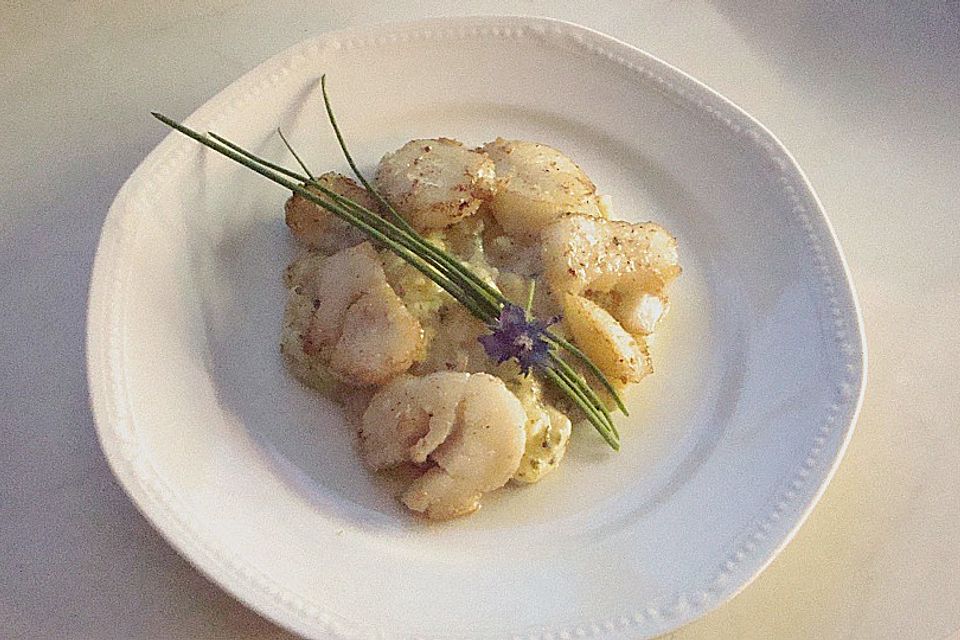 Jakobsmuschelnüsschen auf Kartoffel - Kohlrabi - Püree