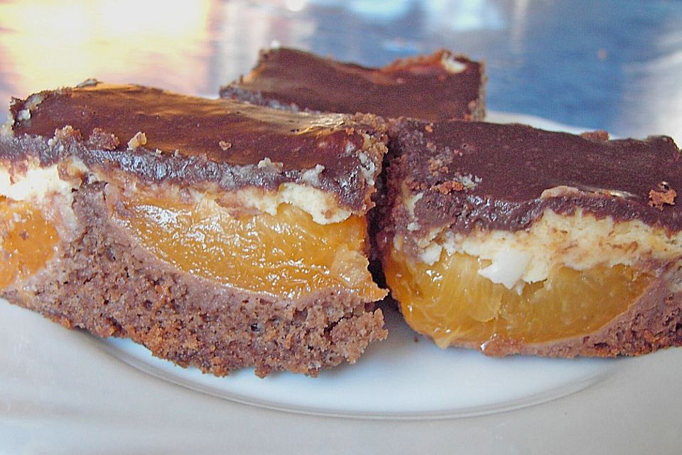 Aprikosen - Schoko - Kuchen