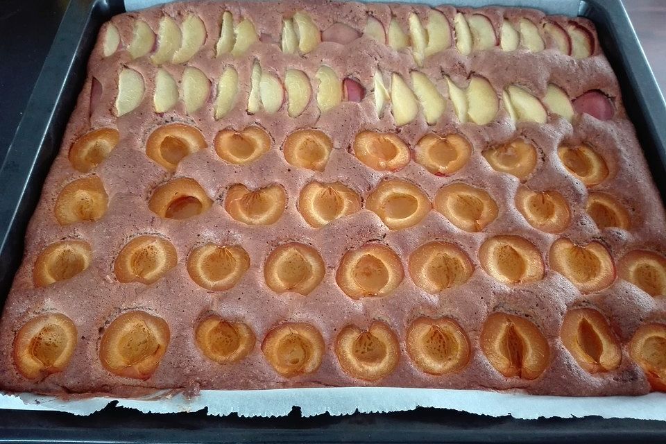 Aprikosen - Schoko - Kuchen