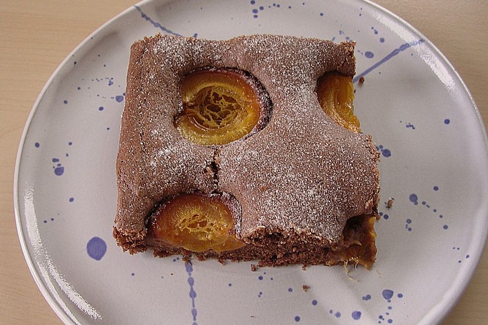 Aprikosen - Schoko - Kuchen