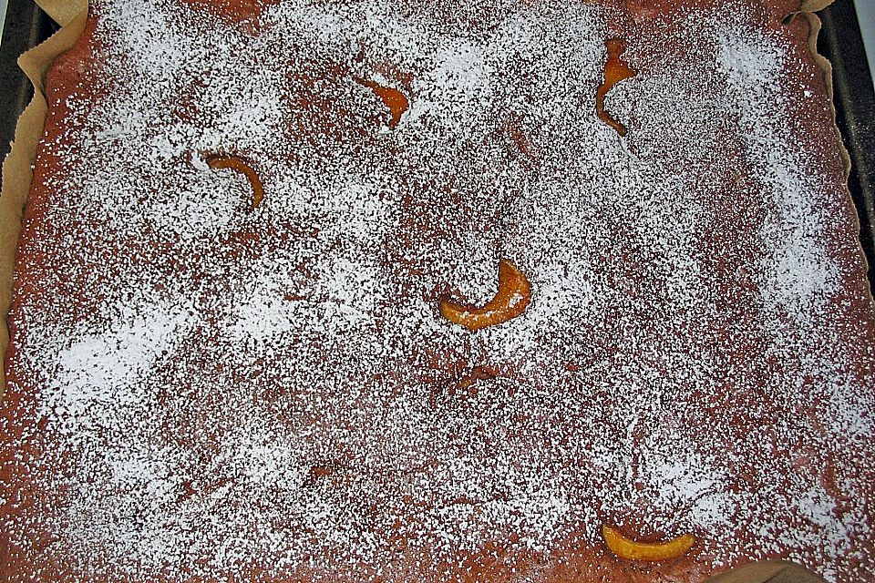 Aprikosen - Schoko - Kuchen