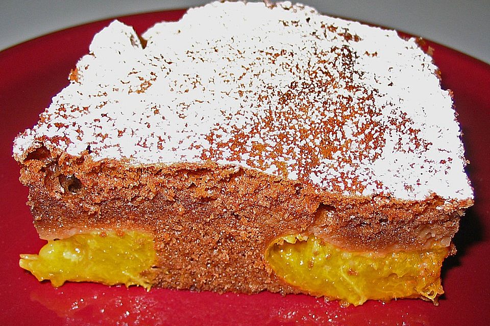 Aprikosen - Schoko - Kuchen