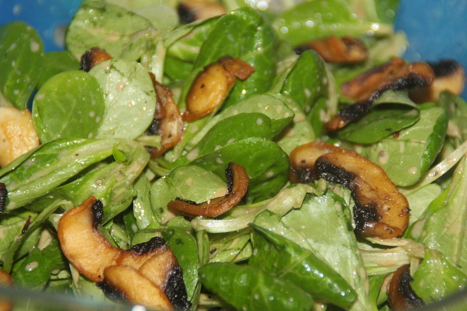 Feldsalat mit Champignons