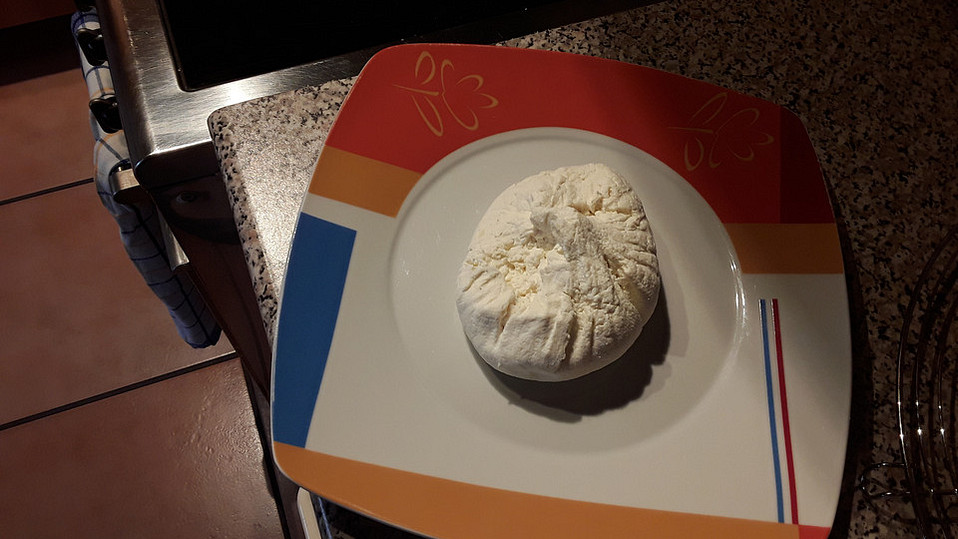Ziegenfrischkäse selbst machen von Lophe