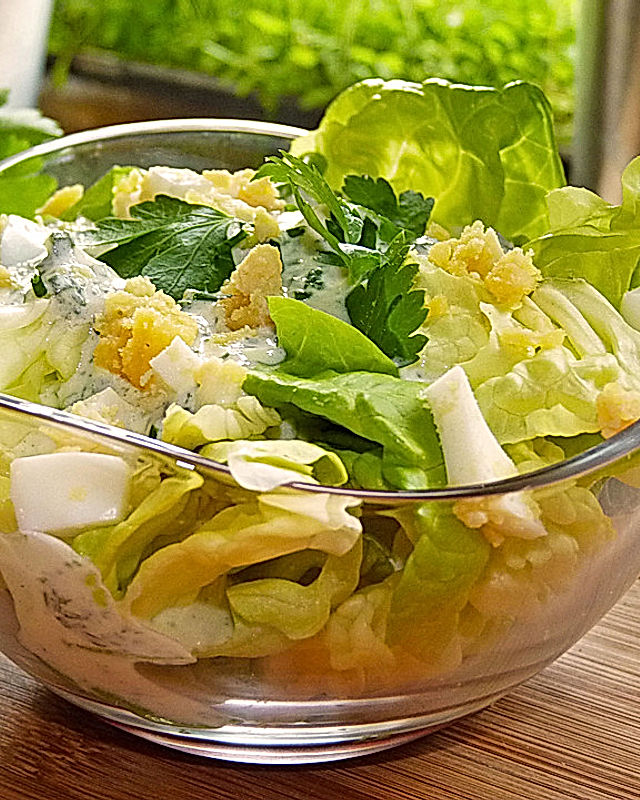 Grüner Salat 'Klara'