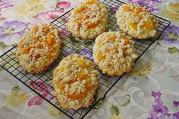 Aprikosen - Pudding - Teilchen