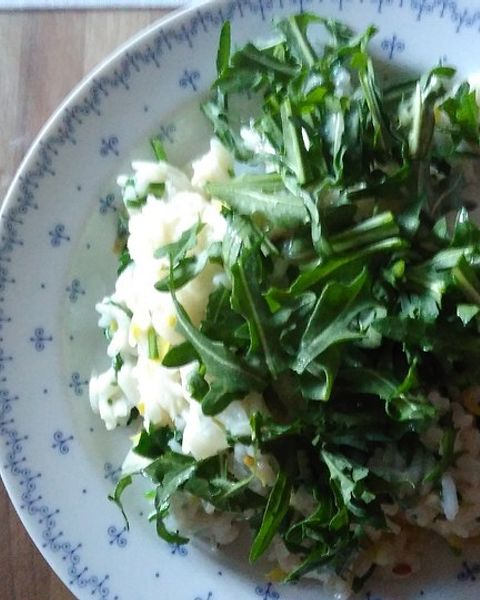 Schlotze Rezepte | Chefkoch