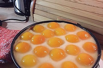 Aprikosenkuchen / Spiegeleierkuchen