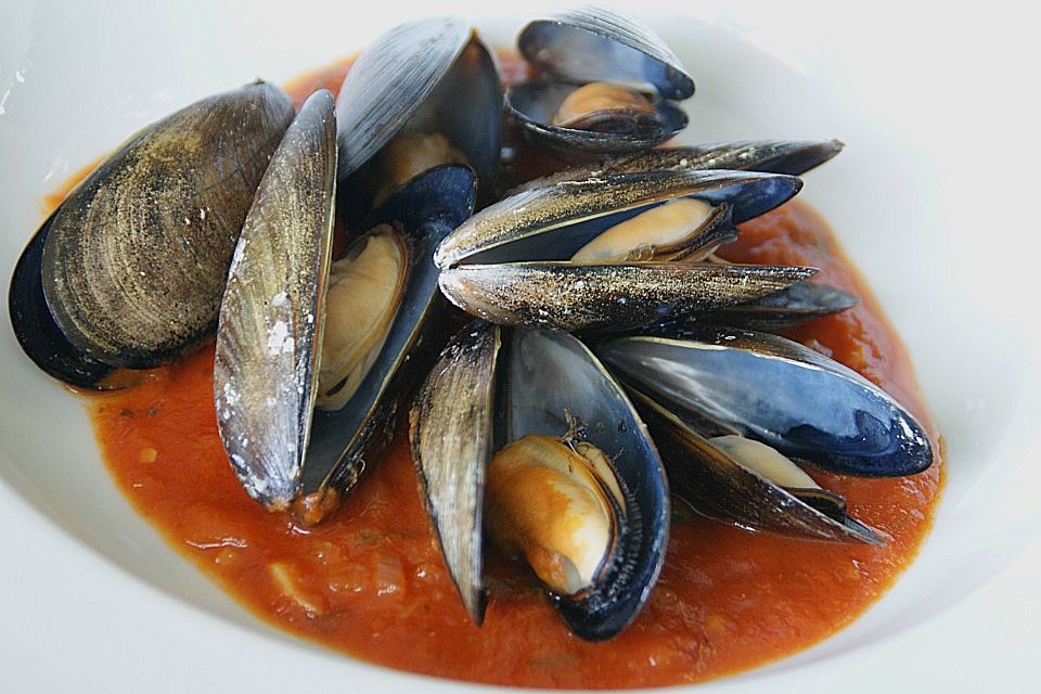 Miesmuscheln in Tomatensoße