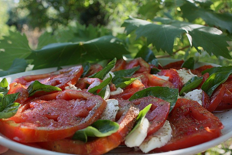 Tomaten - Mozzarella Salat