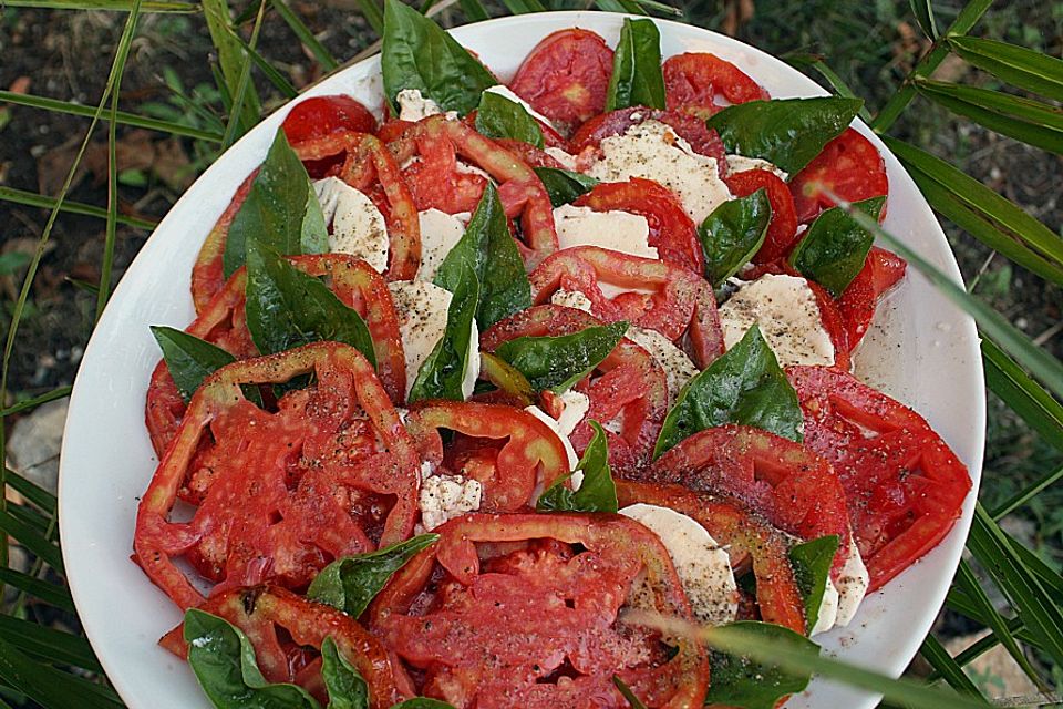 Tomaten - Mozzarella Salat