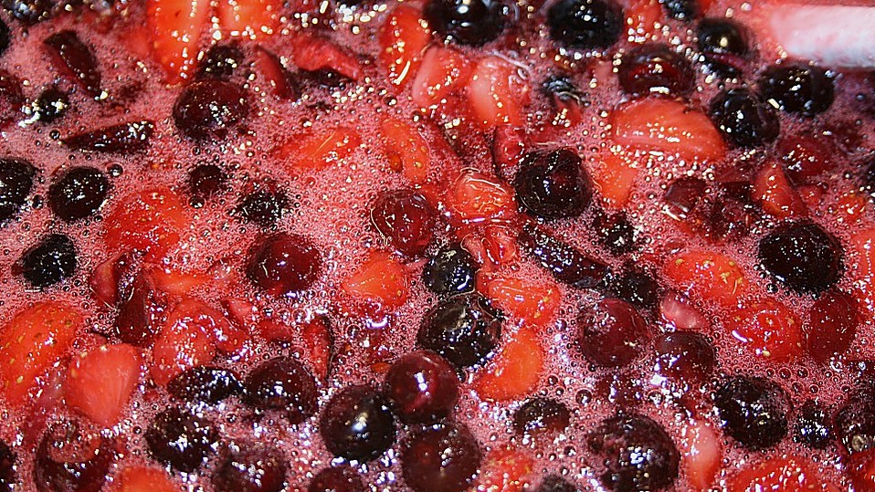 Felsenbirne - Erdbeer - Kirsch - Marmelade von Wildkraut