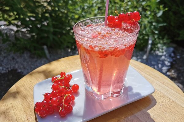 Begrüßungscocktail