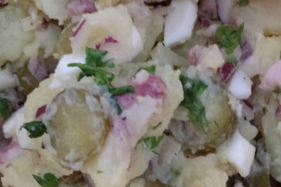 Kartoffelsalat mit Dörrfleisch und Gurke