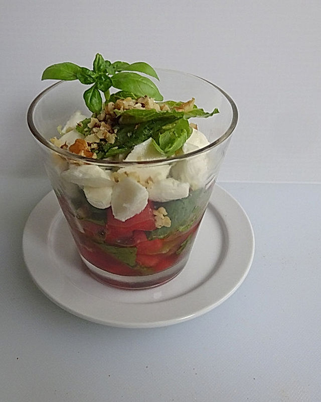 Wassermelonen - Mozzarella - Salat mit Fenchel und Basilikum