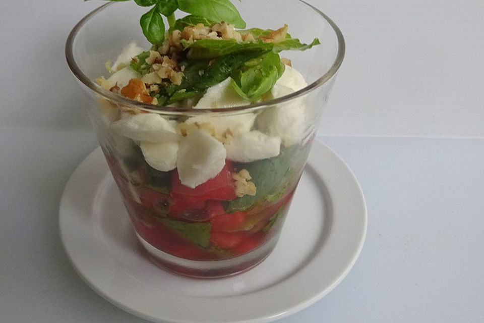 Wassermelonen - Mozzarella - Salat mit Fenchel und Basilikum