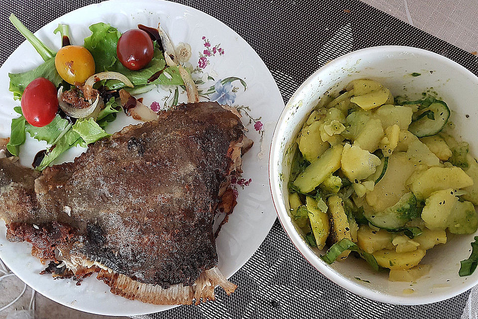 Maischolle auf Kartoffel-Bärlauch-Salat