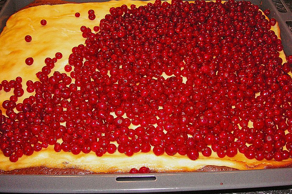 Johannisbeerkuchen mit Schmand - Pudding - Creme