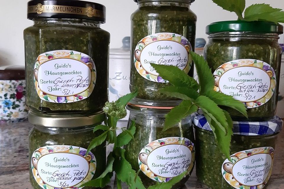 Pesto aus Giersch und / oder anderen Wildkräutern