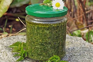 Pesto Aus Giersch Und Oder Anderen Wildkrautern Von Emmyloup Chefkoch 