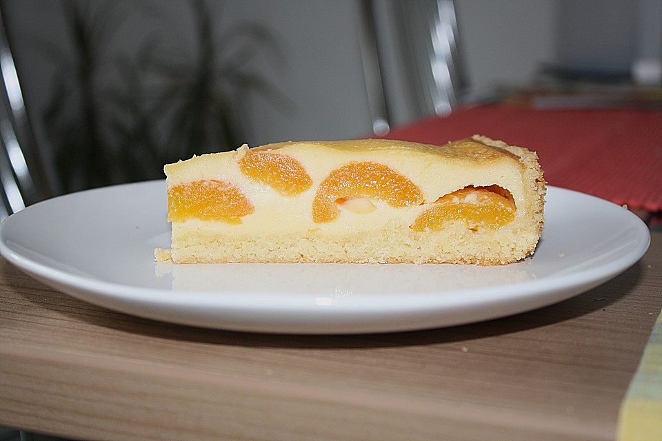 Marillenkuchen mit Marzipanguss