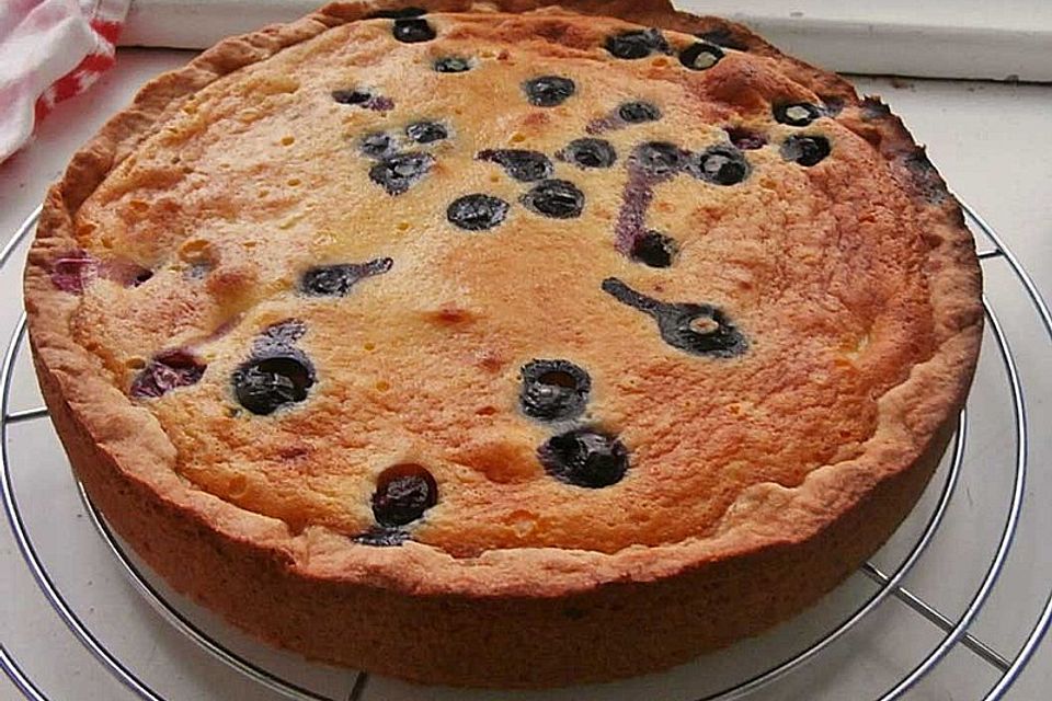 Marillenkuchen mit Marzipanguss