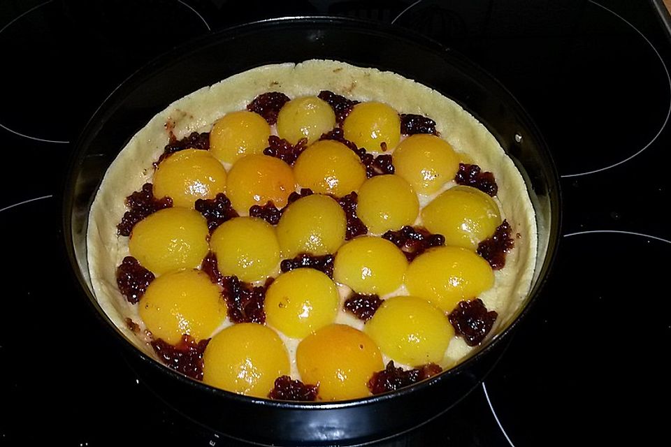 Marillenkuchen mit Marzipanguss