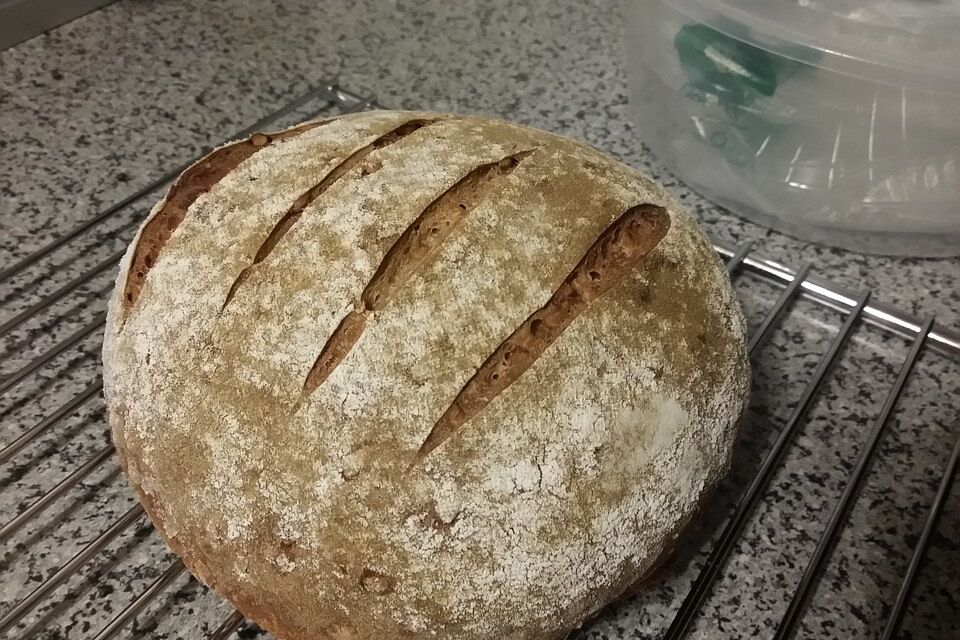 Waltrauds Roggenmischbrot mit Sauerteig