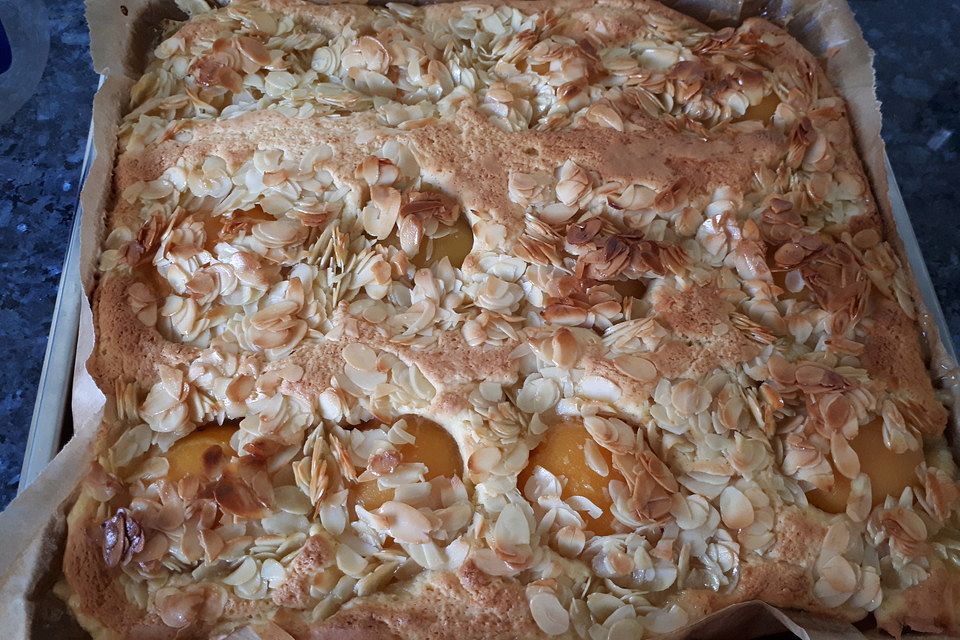 Schneller Blechkuchen mit Obst