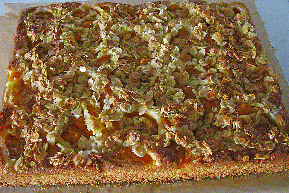 Schneller Blechkuchen mit Obst