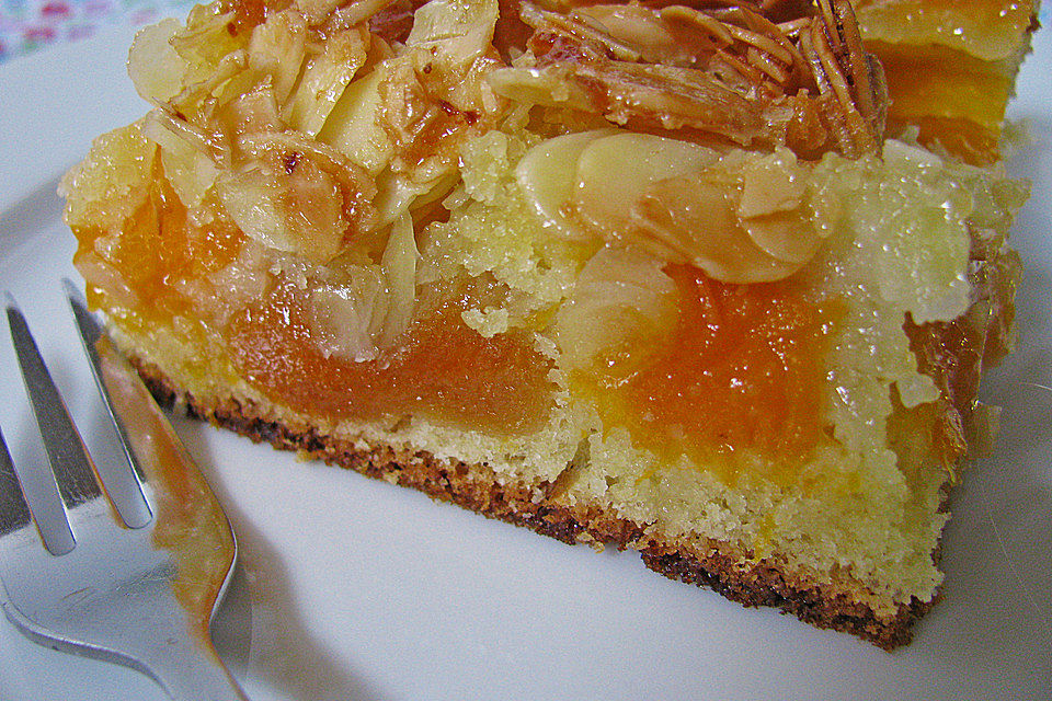 Schneller Blechkuchen mit Obst