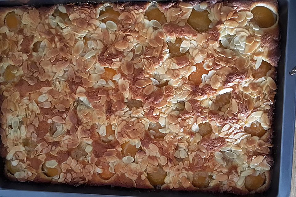 Schneller Blechkuchen mit Obst