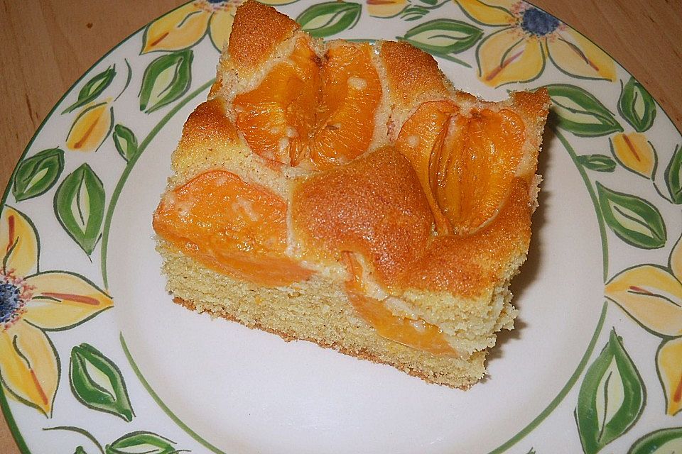 Marillenkuchen am Blech