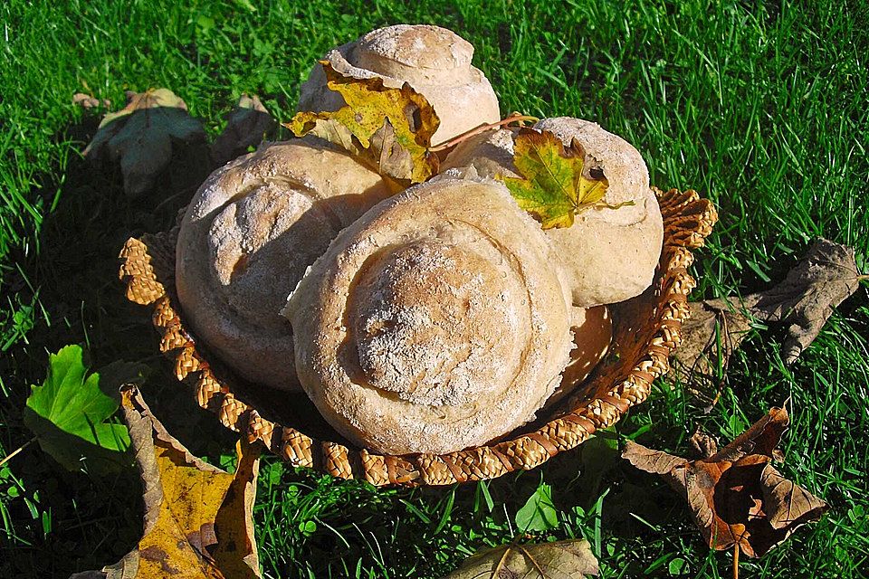 Rundes Krustenweißbrot