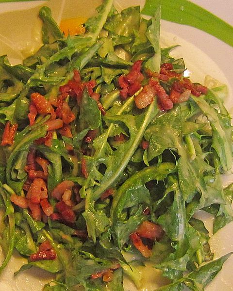 Löwenzahnsalat Rezepte | Chefkoch Löwenzahnsalat Rezepte | Chefkoch