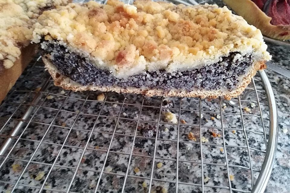 Leckerer Mohnkuchen mit Grieß Leckerer Mohnkuchen mit Grieß