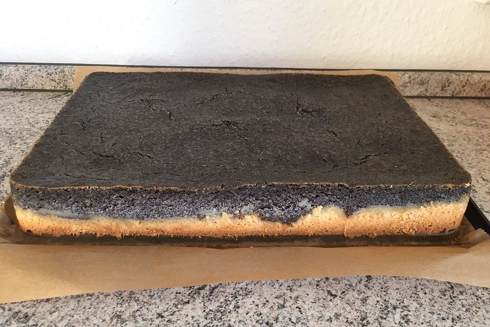 Leckerer Mohnkuchen mit Grieß Leckerer Mohnkuchen mit Grieß